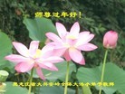 Published on 2/8/2016 ���ֹ�,��С���ӹ�ףʦ�������(19��)
