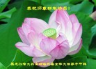 Published on 2/6/2016 ���ֹ�,��½�󷨵��ӹ�ףʦ���������(27��)
