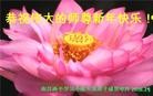ֹ,󷨵ӹףʦ(27)
