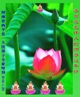 ֹ,ϴ󷨵ӹףʦ(24)
