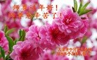 ֹ,󷨵ӹףʦ(25)
