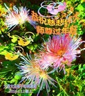 ֹ,󷨵ӹףʦ(20)
