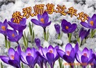 Published on 2/7/2016 ���ֹ�,��½�󷨵��ӹ�ףʦ�������(27��)
