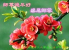 Published on 2/4/2016 ���ֹ�,��½�󷨵��ӹ�ףʦ���������(35��)
