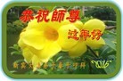 Published on 2/4/2016 ���ֹ�,��½�󷨵��ӹ�ףʦ���������(35��)
