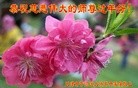 ֹ,󷨵ӹףʦ(25)
