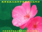 Published on 2/7/2016 ���ֹ�,����ϵͳ�󷨵��ӹ�ףʦ������(21��)
