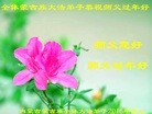 Published on 2/6/2016 ���ֹ�,��½�󷨵��ӹ�ףʦ���������(27��)
