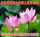 Published on 2/6/2016 ���ֹ�,��½�󷨵��ӹ�ףʦ���������(27��)
