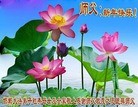 Published on 2/6/2016 ���ֹ�,��½�󷨵��ӹ�ףʦ���������(27��)
