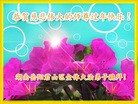 Published on 2/10/2016 ���ֹ�,����ҵ�󷨵��ӹ�ףʦ�������(26��)
