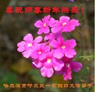 Published on 1/2/2016 ���ֹ�,��½���չ�ף��ʦ��������֣�93����
