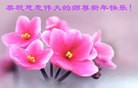 Published on 1/2/2016 ���ֹ�,��½���չ�ף��ʦ��������֣�93����
