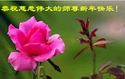Published on 1/2/2016 ���ֹ�,��½���չ�ף��ʦ��������֣�93����
