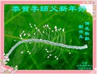 Published on 1/2/2016 ���ֹ�,��½���չ�ף��ʦ��������֣�93����
