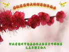 ֹ,ӱ󷨵ӹףʦ(18)
