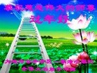 ֹ,󷨵ӹףʦ(20)
