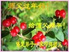 ֹ,󷨵ӹףʦ(26)
