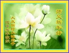 ֹ,󷨵ӹףʦ(25)
