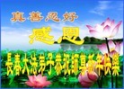 Published on 2/8/2016 ���ֹ�,��½�󷨵��ӹ�ףʦ�������(31��)
