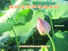 Published on 2/8/2016 ���ֹ�,���󷨵��ӹ�ףʦ�������(25��)
