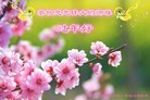 ֹ,󷨵ӹףʦ(21)
