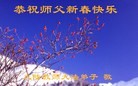 Published on 2/4/2016 ���ֹ�,����ϵͳ�󷨵��ӹ�ףʦ���������(22��)
