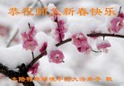Published on 2/4/2016 ���ֹ�,��½�󷨵��ӹ�ףʦ���������(36��)
