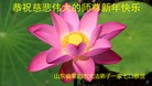 Published on 2/4/2016 ���ֹ�,��½�󷨵��ӹ�ףʦ���������(35��)
