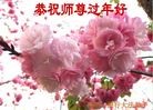 ֹ,ϴ󷨵ӹףʦ(19)
