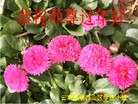 ֹ,ϴ󷨵ӹףʦ(19)
