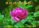 Published on 2/7/2016 ���ֹ�,��½���Ӵ󷨵��ӹ�ףʦ������(20��)

