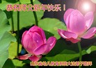 Published on 2/4/2016 ���ֹ�,����ϵͳ�󷨵��ӹ�ףʦ���������(22��)
