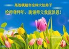 Published on 2/4/2016 ���ֹ�,��½�󷨵��ӹ�ףʦ���������(35��)

