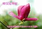 Published on 2/8/2016 ���ֹ�,���󷨵��ӹ�ףʦ�������(25��)
