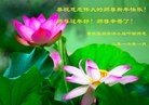 ֹ,󷨵ӹףʦ(26)
