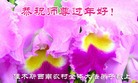 ֹ,ľ˹󷨵ӹףʦ(21)
