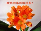 Published on 2/4/2016 ���ֹ�,����ϵͳ�󷨵��ӹ�ףʦ���������(22��)
