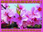 Published on 2/7/2016 ���ֹ�,���󷨵��ӹ�ףʦ������(29��)
