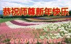 ֹ,մ󷨵ӹףʦ(22)
