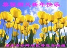 ֹ,󷨵ӹףʦ(26)
