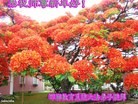 Published on 2/4/2016 ���ֹ�,����ϵͳ�󷨵��ӹ�ףʦ���������(22��)
