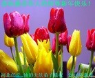 Published on 2/4/2016 ���ֹ�,��½�󷨵��ӹ�ףʦ���������(35��)
