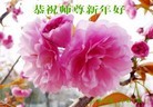 Published on 2/5/2016 ���ֹ�,��С���ӹ�ףʦ���������(23��)
