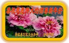 ֹ,󷨵ӹףʦ(23)
