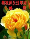 ֹ,󷨵ӹףʦ(23)
