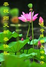 ֹ,󷨵ӹףʦ(23)
