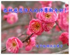 ֹ,󷨵ӹףʦ(23)
