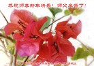 ֹ,󷨵ӹףʦ(25)
