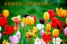 ֹ,ʯׯ󷨵ӹףʦ(28)

